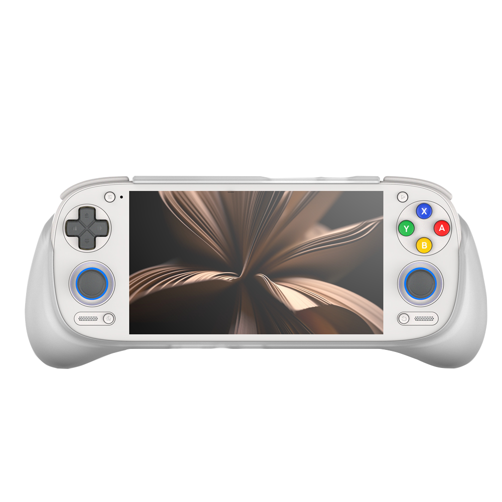리볼닉 RP5 빅 케이스 (레트로이드 포켓 5 휴대용  - Gaming Console Bag 리뷰 및 가격