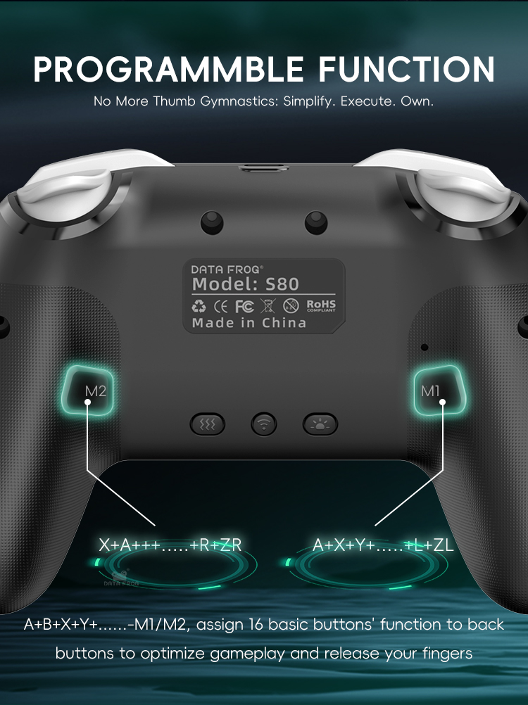 데이터프로그 2팩 무선 프로 컨트롤러 게임패드 (TV  - Gaming Console For Android Tv 리뷰 및 가격